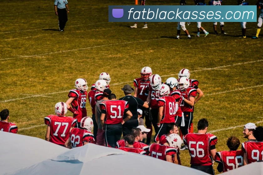 未来规划